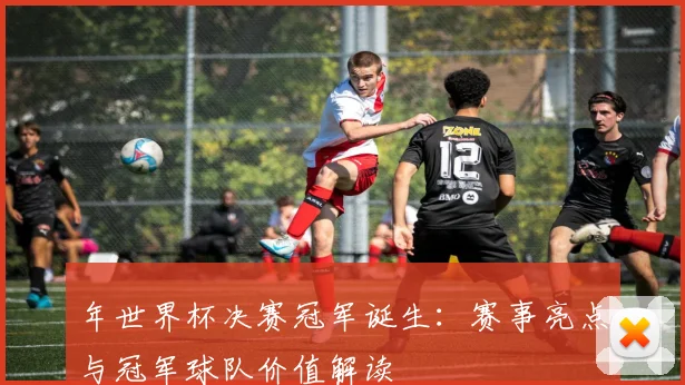 年世界杯决赛冠军诞生：赛事亮点与冠军球队价值解读
