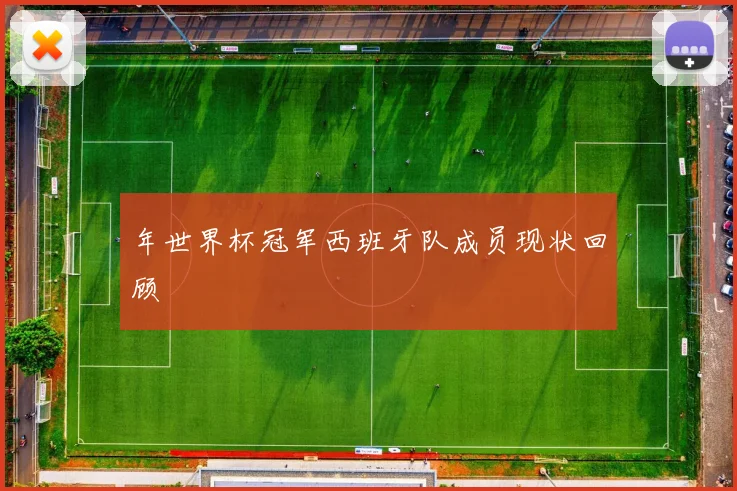 年世界杯冠军西班牙队成员现状回顾